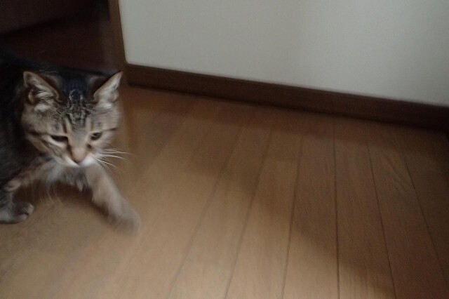 s-画像174.jpg