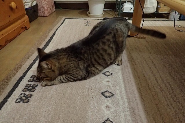 s-画像934.jpg