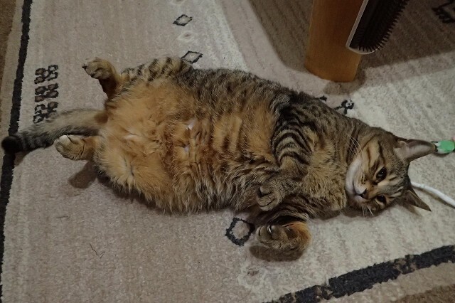 s-画像936.jpg